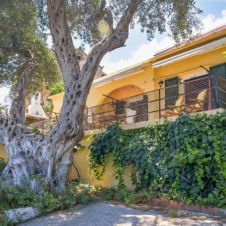 Alex-Giannis Apartments, バルバティ エクステリア 写真
