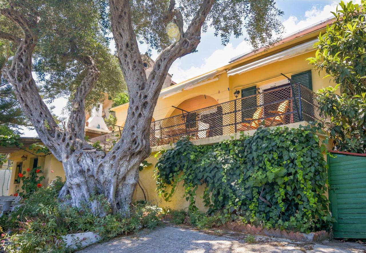 Alex-Giannis Apartments, バルバティ エクステリア 写真
