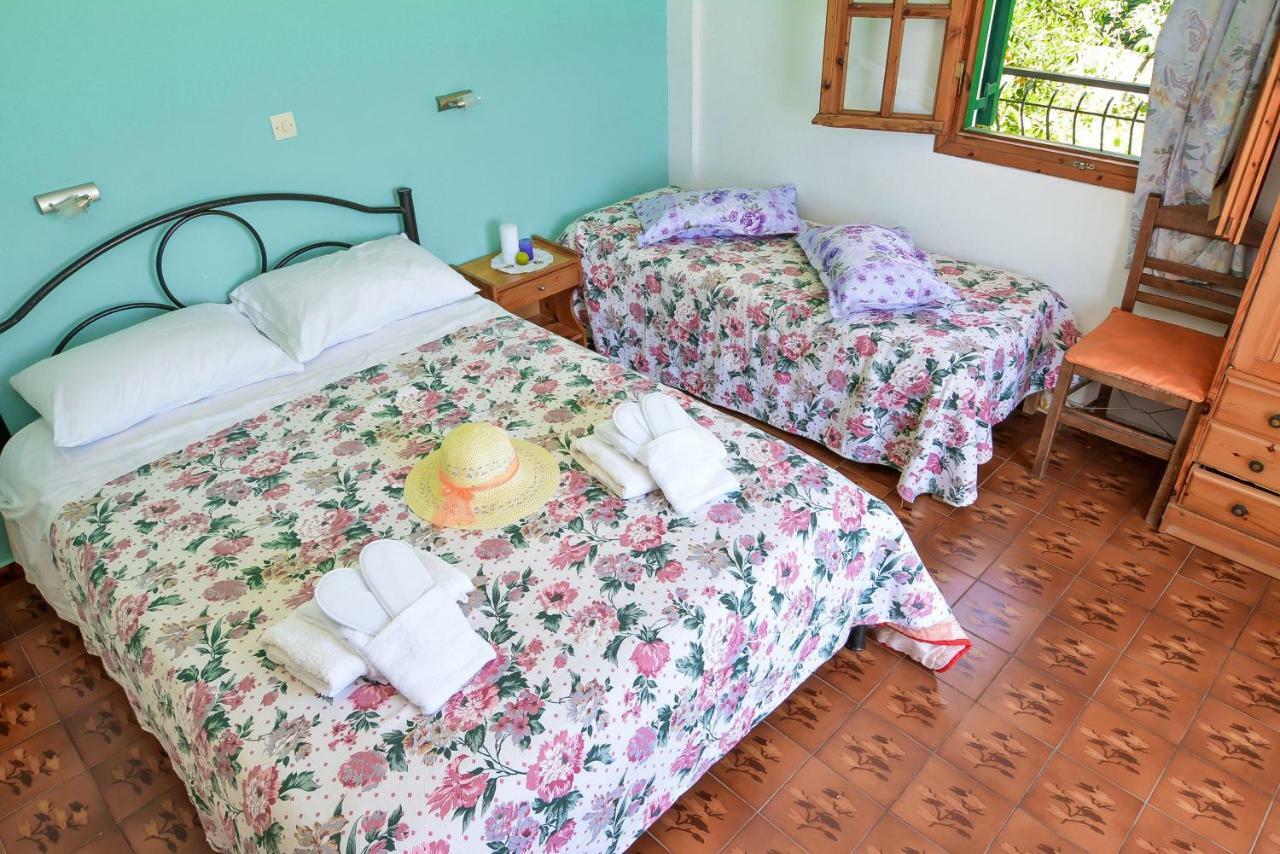 Alex-Giannis Apartments, バルバティ エクステリア 写真